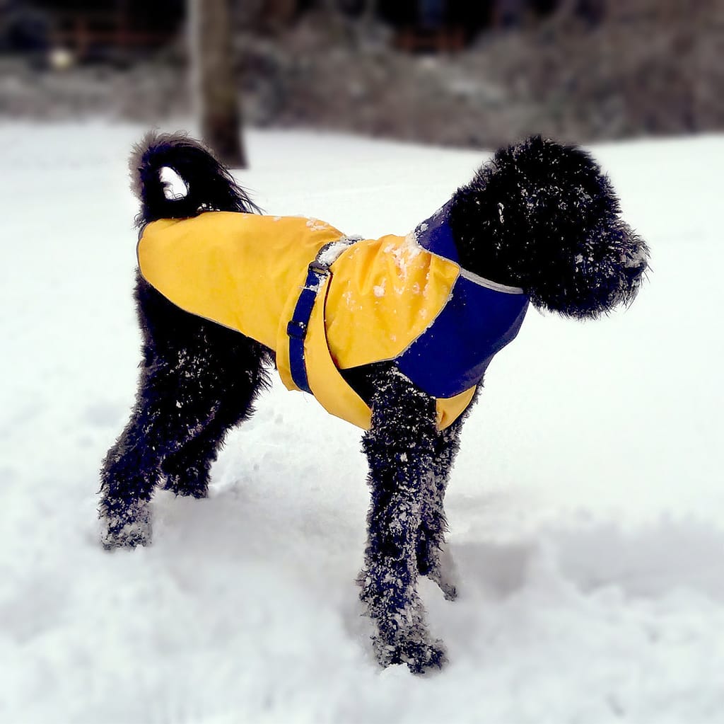 The Alpine Dog Coat The Alpine Dog Coat