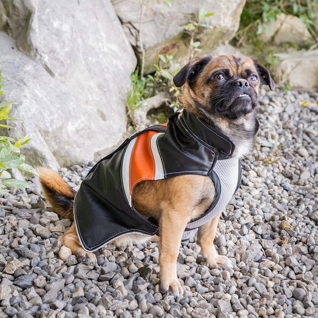 The Marley Davidson Dog Coat The Marley Davidson Dog Coat