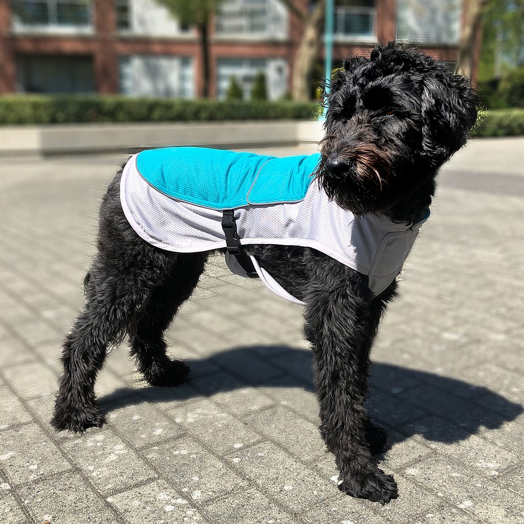 The CoolDog Dog Coat The CoolDog Dog Coat