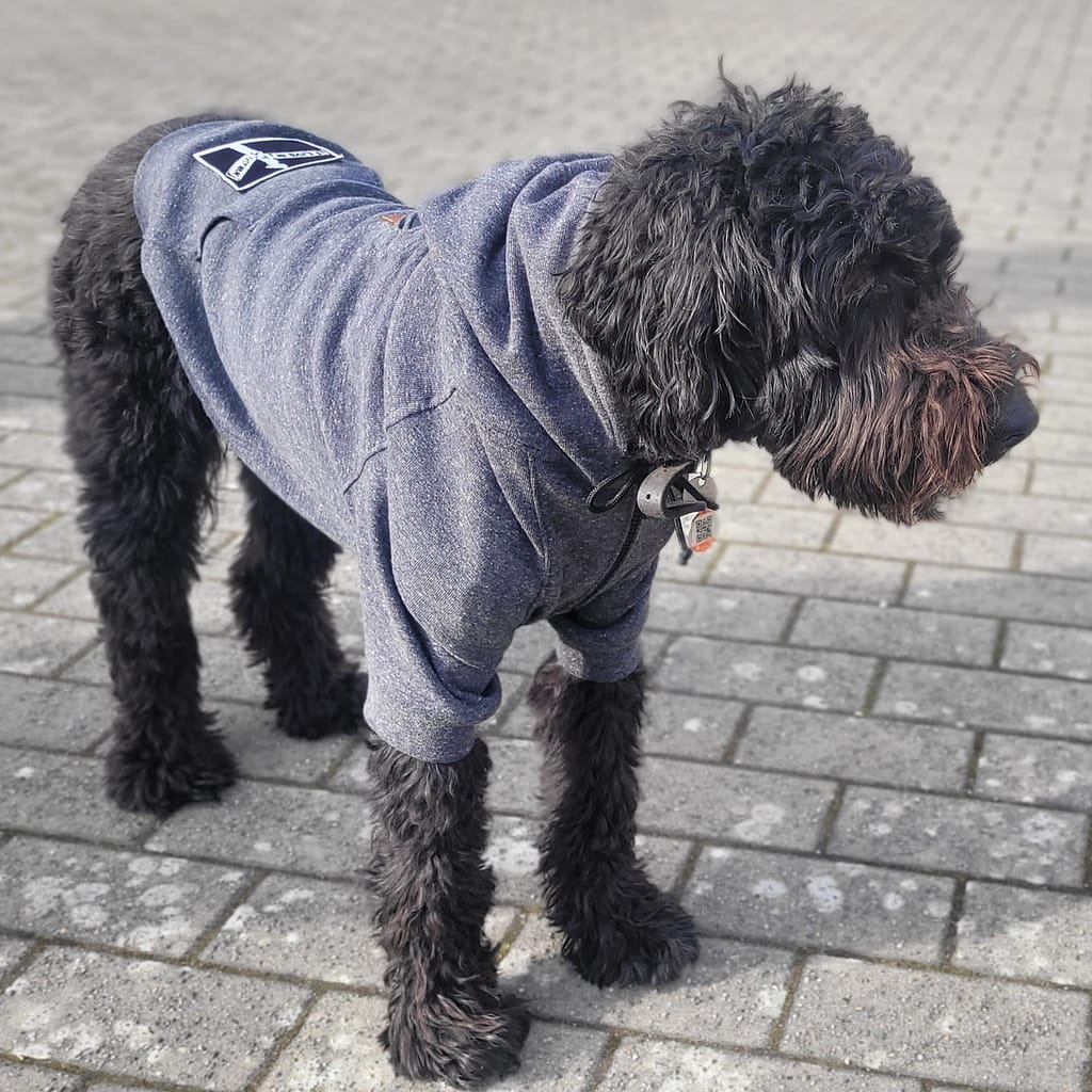 The Rebel Hound Dog Hoodie The Rebel Hound Dog Hoodie