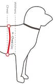 Measuring your dog Chest Circumference