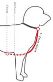 Measuring your dog Front Height