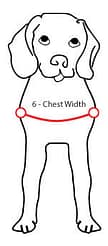 Measuring your dog Chest Width