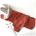 Dog Trench Coat