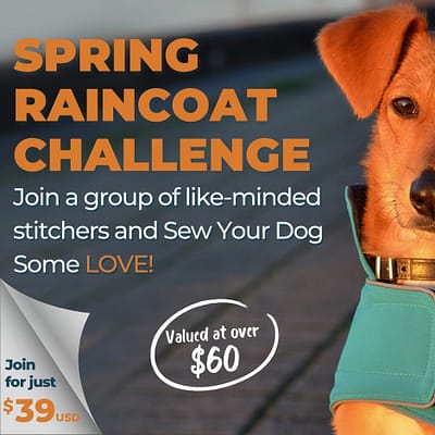 Spring Dog Raincoat Challenge