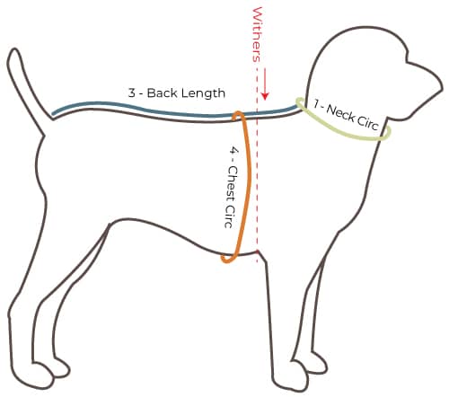 Dog Measuring Areas