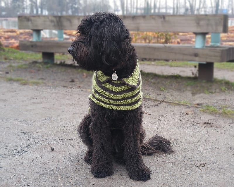 scouterwearSweater-front
